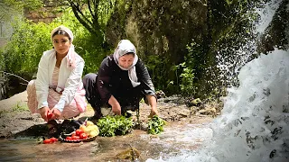 Cooking a Delicious Meal with Meat and Eggplant in the Village Forest