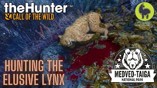 Hunting the Elusive lynx, Medved Taiga | theHunter: Call of the Wild (PS5 4K)