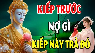 Kiếp Trước Nợ Gì Kiếp Này Trả Đó Phật Dạy Nhân Quả Báo Ứng Không Trừ Một Ai  Thiện Duyên Phật Giáo