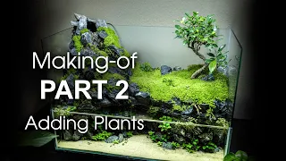 "How to plant a paludarium" // (Ep. 2) Making of the Bonsai Paludarium