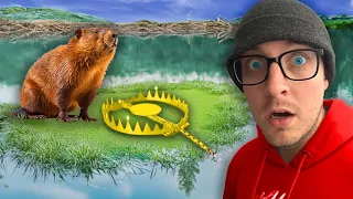 This Pond is Infested With Beavers!