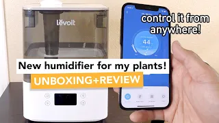 Levoit Classic 300S Humidifier for Houseplants | Unboxing & Review