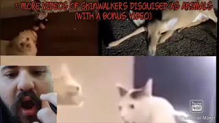 3 More Videos of Skinwalkers Disguised As Animals (With A Bonus Video)