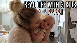 REAL LIFE WITH 3 KIDS and a PUPPY | Tara Henderson