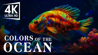 The Best 4K Aquarium - The Colors of the Ocean, The Sound Of Nature #17