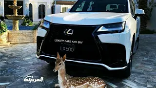 2022 Lexus LX600 | Luxurious SUV review