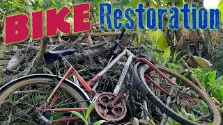 Banana forest found, old and broken bicycle restoration