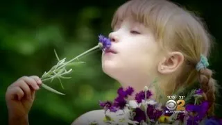 Seen At 11: Loss Of Sense Of Smell Could Carry Dangerous Consequences