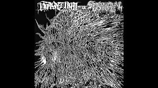 Vastum / Spectral Voice (Full Split-EP) (2018)