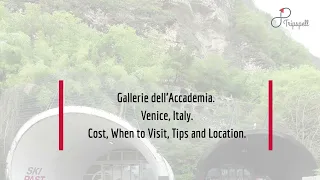 Gallerie dell’Accademia , Venice Guide - What to do, When to visit, How to reach, Cost | Tripspell
