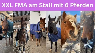 XXL FMA am Stall mit 6 Pferden 😱​😎​ | Marina Schuster