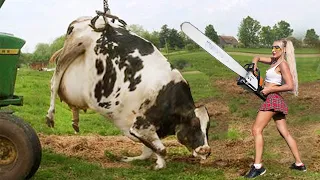 Dangerously Pretty Girl Milks Cow with Chainsaw! Unconventional Farming and Tree Cutting DIY