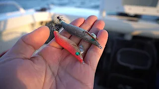 Trolling For Squid Using 2 Jigs