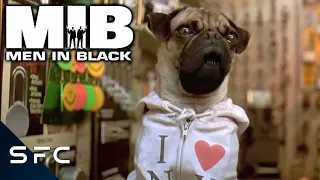 Men In Black | Frank The Pug! | Complete Scene | Will Smith | Tommy Lee Jones