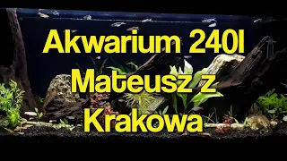 AKWARIUM 240 l ,krok po kroku. Mateusz z Krakowa.