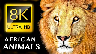 ТОП 20 - Самые красивые АФРИКАНСКИЕ ЖИВОТНЫЕ 8K ВИДЕО ULTRA HD