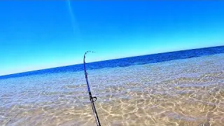 LAND Fishing a SECLUDED Beach! | Whiting CATCH and COOK on Cliff | Yorke Peninsula, South Australia