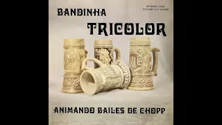 BANDINHA TRICOLOR - "ANIMANDO BAILES DE CHOPP" (Vol.3) - (1976, LP COMPLETO, FULL STEREO HQ)