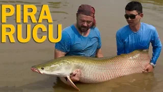 #5 EXPEDIÇÃO AMAZÔNIA | PIRARUCU, A REALEZA DA ÁGUA DOCE | RICHARD RASMUSSEN
