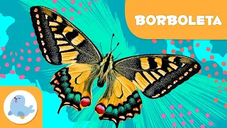 BORBOLETA 🦋 Animais para crianças 🌱 Episódio 11