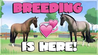 BREEDING IS HERE 💕 Equestrian The Game