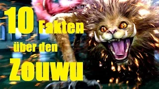 10 FAKTEN über den ZOUWU 🐾