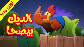 الديك بيصحى - قناة بلبل BulBul TV