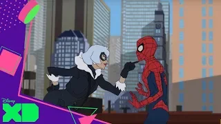 Marvel Spider-Man Shorts Ep. 7 Día en la playa | Disney XD Oficial