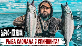 ЗАБРОС – ПОКЛЕВКА. ЛОВЛЯ ГОРБУШИ В МОРЕ. ДЕЛИКАТЕСЫ.  СКАЗОЧНАЯ РЫБАЛКА В ЧАВАНЬГЕ НА КОЛЬСКОМ.