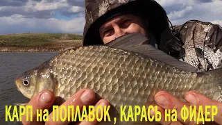 КАРП на ПОПЛАВОК, КАРАСЬ на ФИДЕР в сильный ветер.  Рыбалка по холодной воде!