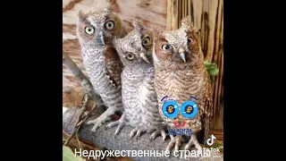 Недружественные нам страны