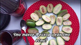 Как кушать фейхоа? Что такое фейхоа?