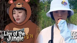 Who Will Taste the Spicy Pepper of Lacandon? It's Seul Gi!! [Law of the Jungle Ep 323]