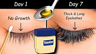 Use Vaseline to Grow Long eyelashes & Thick eyebrows from First WEEK - Thick Eyelash Growth Serum