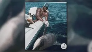 Green Bay Packers linebacker Sam Barrington hooks 400-pound shark
