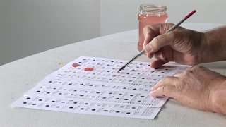 How to use Daniel Smith Watercolour Dot Cards with John Cogley