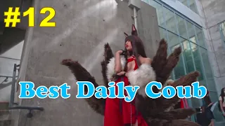 Best Daily Coub Compilation #12