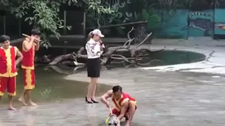 CROCODILE Show Gone Wrong 2019