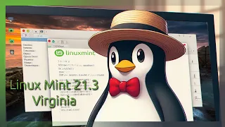 ¡INSTALA Y PERSONALIZA LINUX MINT 21.3 VIRGINIA! 🌐💻