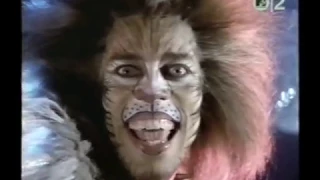 Terrence V. Mann - Rum Tum Tugger