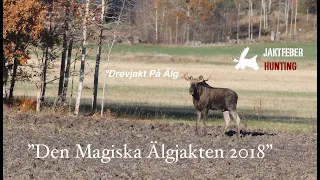 JAKTFEBER "Den Magiska Älgjakts Premiären 2018"