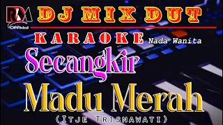 Madu Merah - Karaoke (Nada Wanita) Itje Trisnawati || Dj Mix Dut Orgen Tunggal