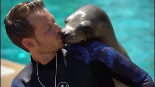 Soigneur Otaries_Marineland