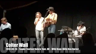 Colter Wall - Wild Dogs (Billy Don Burns) - 2018-08-23 - Tønder Festival, DK