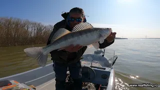 Pescuit la salau pe Dunare  - 5 Martie