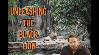 Chess Stream #71 Unleashing the Black Lion in the wild!
