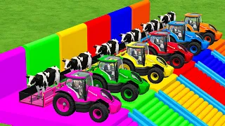 SMALL NEW HOLLAND TRACTORS & ANIMAL LOADER OF COLORS IN FS22 | FARMING SIMULATOR 22 |