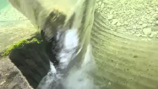 GoPro vs. 30" underwater vortex