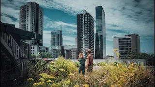 The DakAkker Rotterdam, among the biggest urban rooftop farms in Europe