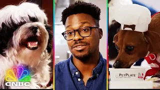 Pet Plate Seeks Help for Our Furry Friends | Shark Tank: How It Started